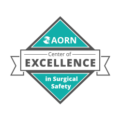 Northside Plastic Surgery & the Greater Atlanta Plastic Surgery Center received the award for 'Center of Excellence in Surgical Safety'